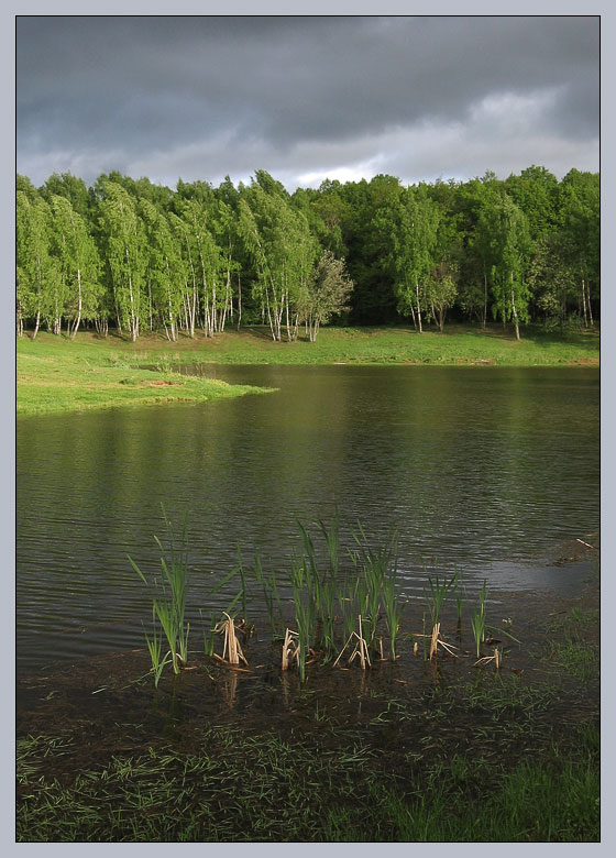 photo "Thunderstorm is over" tags: landscape, spring