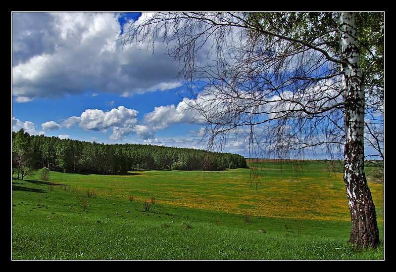 фото "Добрый день" метки: пейзаж, весна