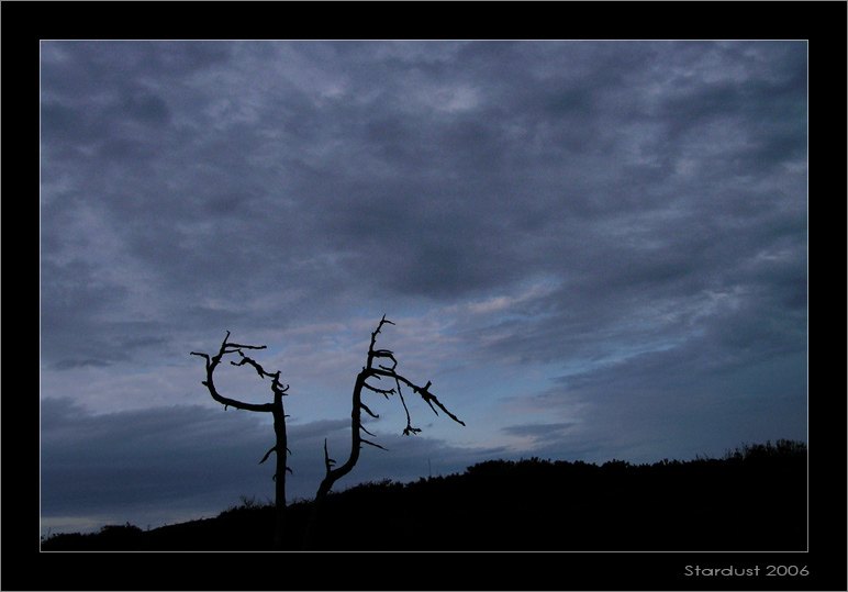 фото "Вечерний каприз" метки: пейзаж, облака