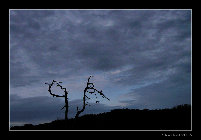 photo "Вечерний каприз" tags: landscape, clouds