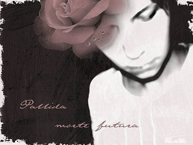 photo "***" tags: montage, 