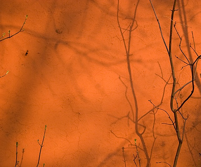 photo "***" tags: still life, misc., 