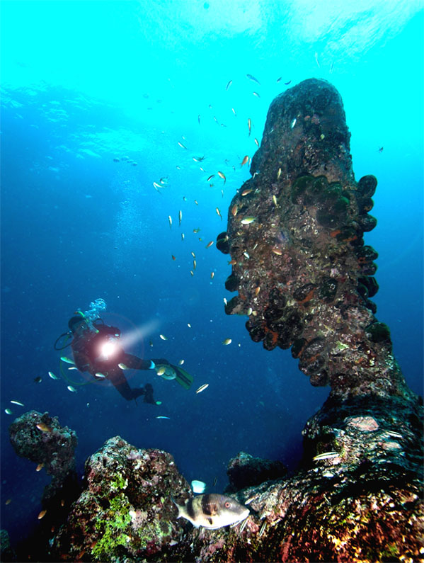 photo "The knight and a head" tags: underwater, 