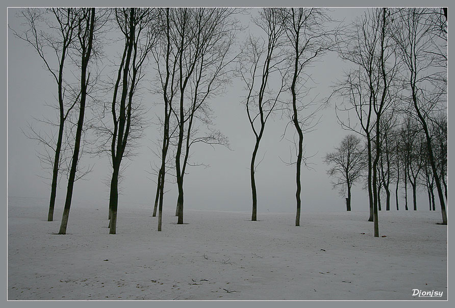 photo "White" tags: landscape, winter