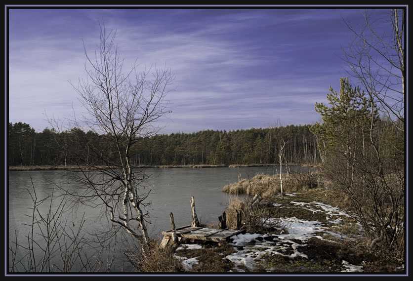 photo "***" tags: landscape, forest