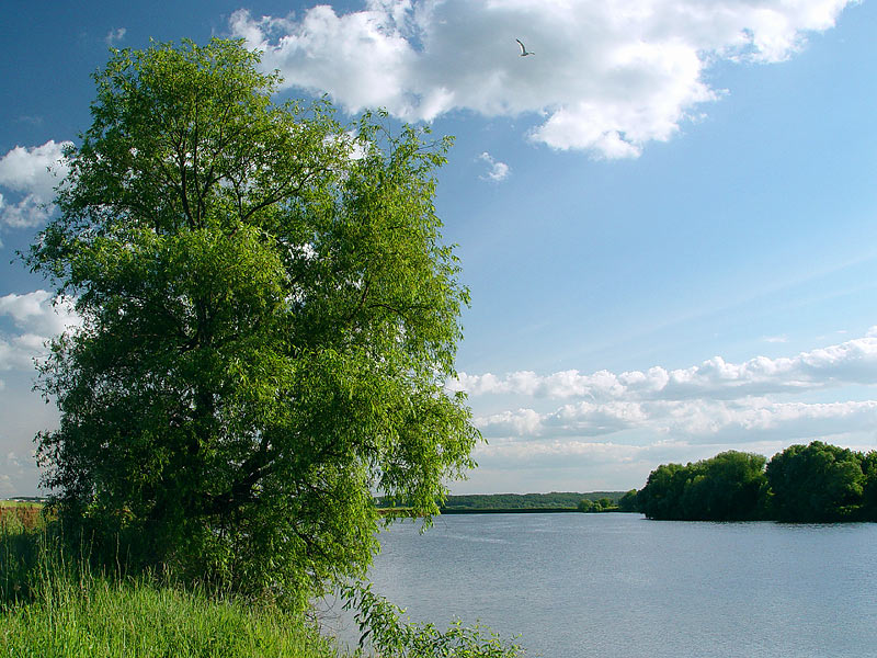 photo "***" tags: landscape, summer, water