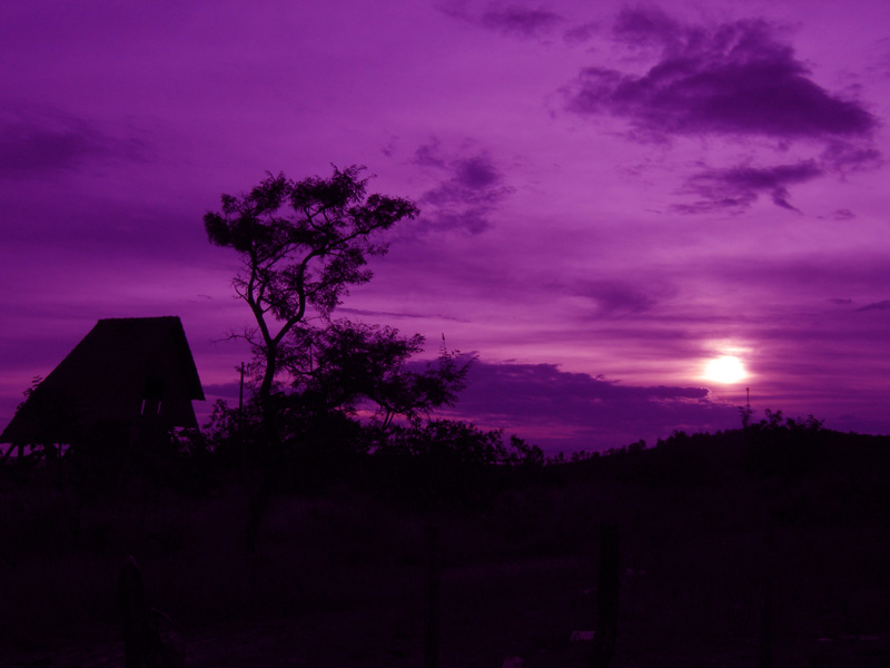 photo "purple sunset" tags: landscape, sunset