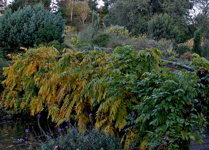 photo "Couple having ... in the bushes" tags: landscape, forest