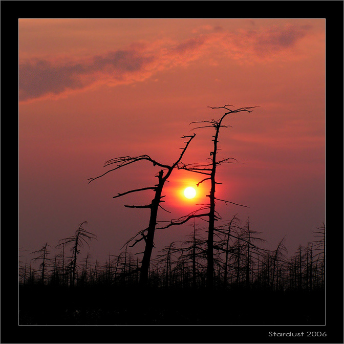 photo "Попалось!" tags: landscape, sunset