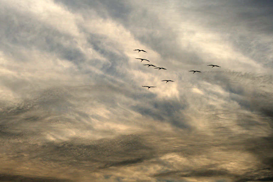 photo "Air Colors" tags: landscape, nature, clouds