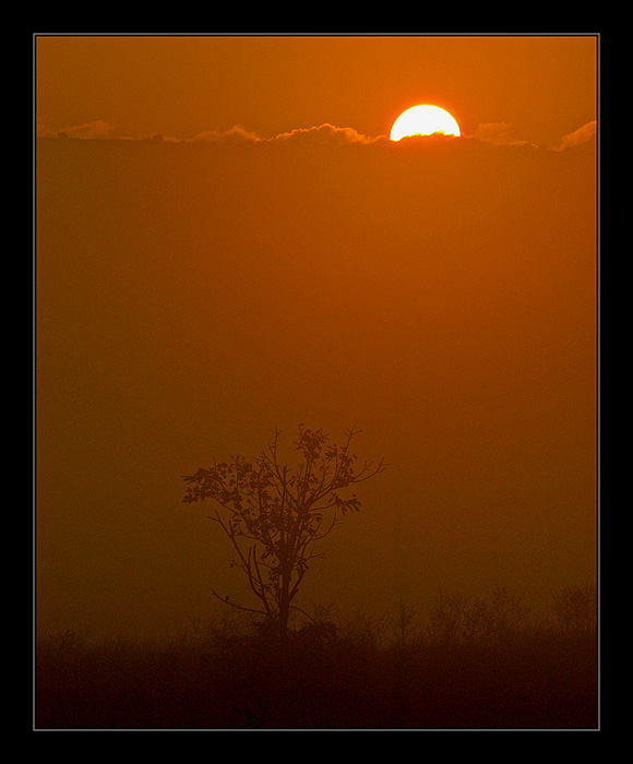 фото "Morning" метки: пейзаж, закат