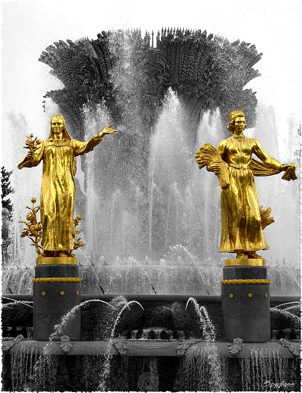 photo "Golden Ladies" tags: genre, black&white, 