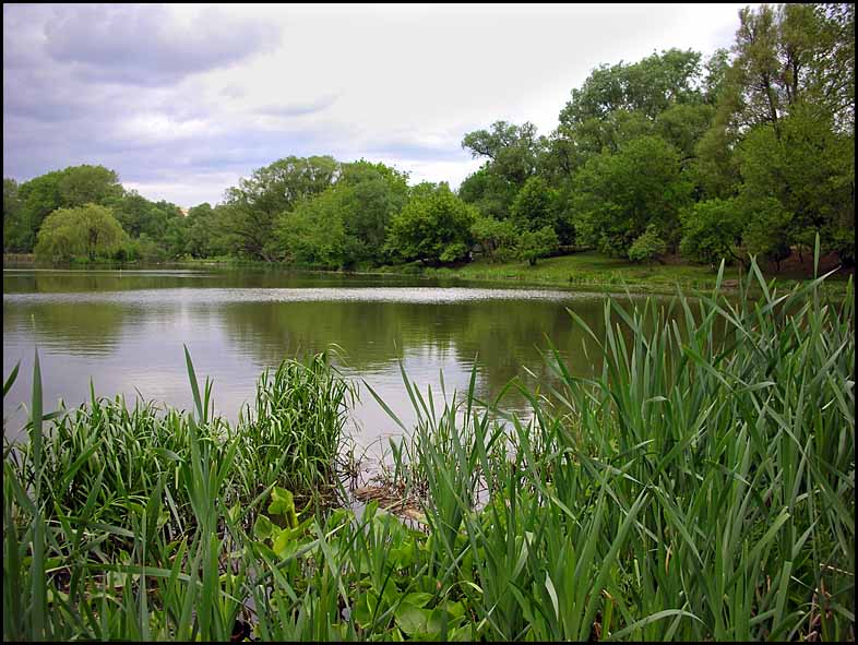 photo "Summer begin" tags: landscape, summer
