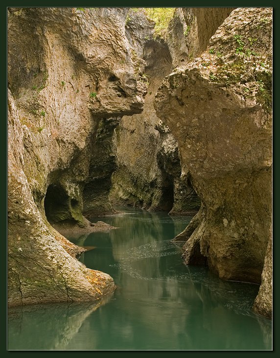 photo "Guard" tags: landscape, water