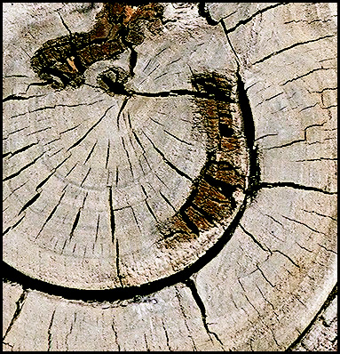 photo "Abstract picture  - 3" tags: abstract, misc., 