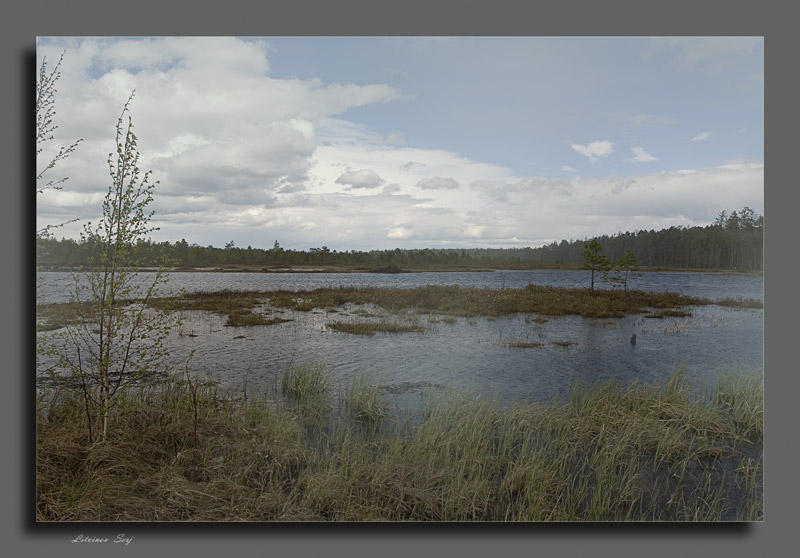 photo "***" tags: landscape, spring