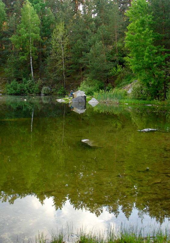 photo "***" tags: landscape, forest, water