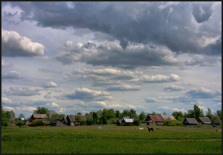 photo "About village (2)" tags: landscape, summer