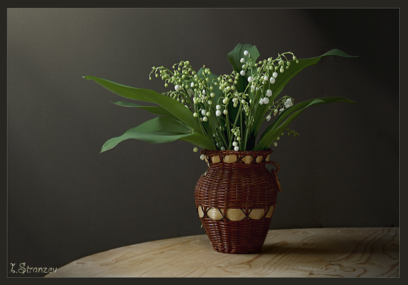 photo "***" tags: still life, 