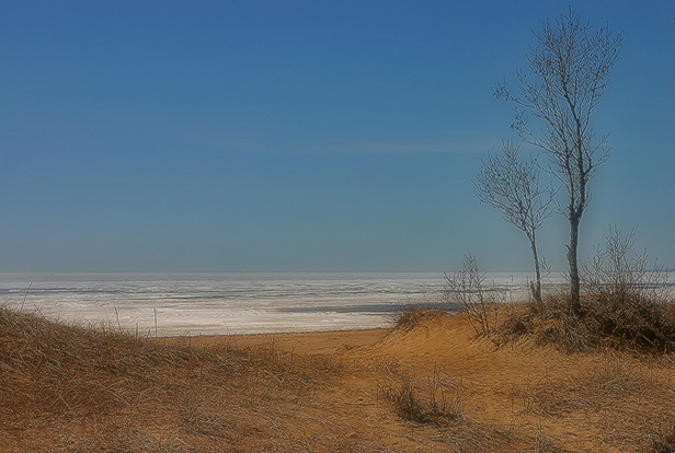 photo "Between Winter And Spring" tags: landscape, spring