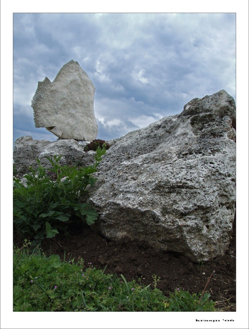 photo "Stone fish" tags: landscape, clouds