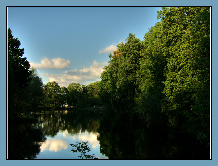 photo "***" tags: landscape, forest