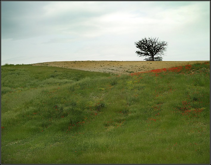photo "Umbria" tags: landscape, travel, Europe