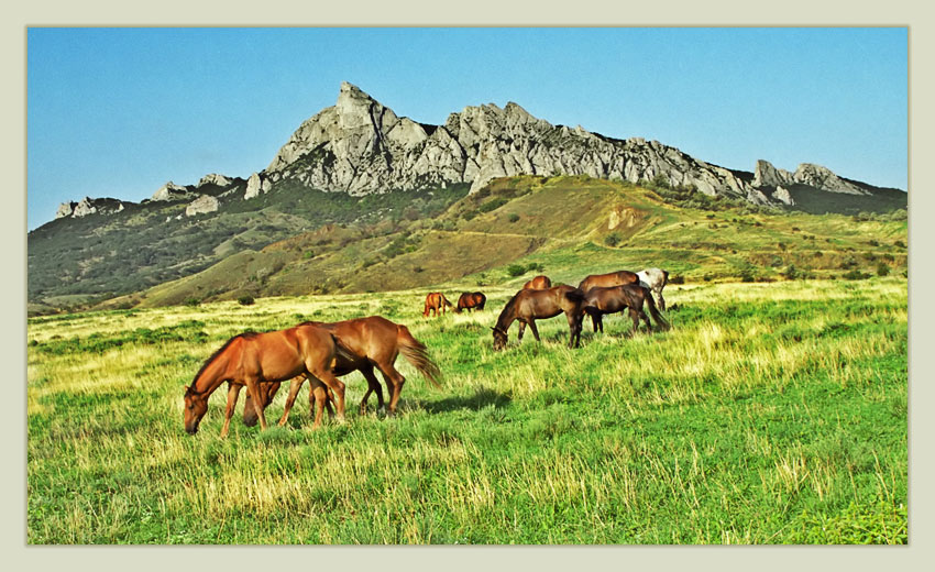 photo "***" tags: landscape, mountains, summer