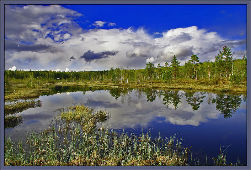 photo "One of corners of the immense Native land - 2" tags: landscape, forest, water