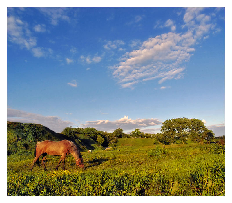 photo "***" tags: landscape, summer