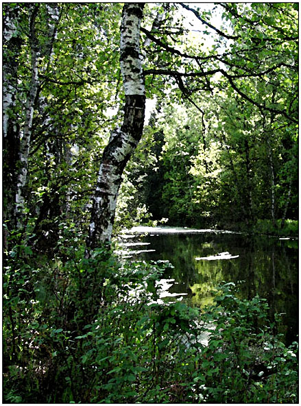 photo "***" tags: landscape, forest, water