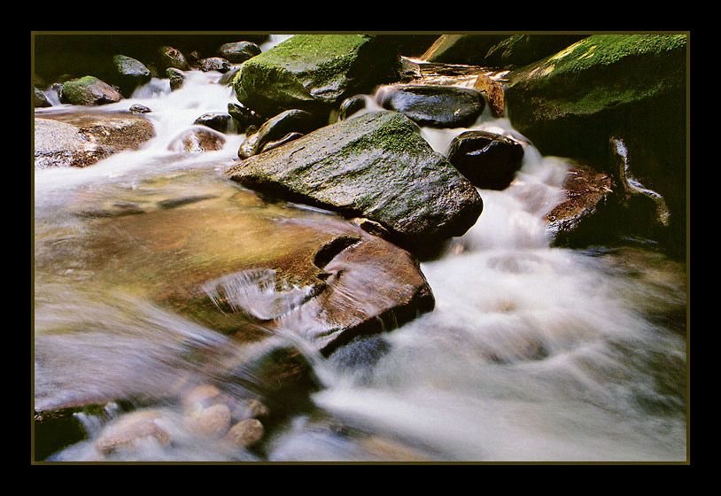 photo "Water Trails" tags: landscape, autumn, water