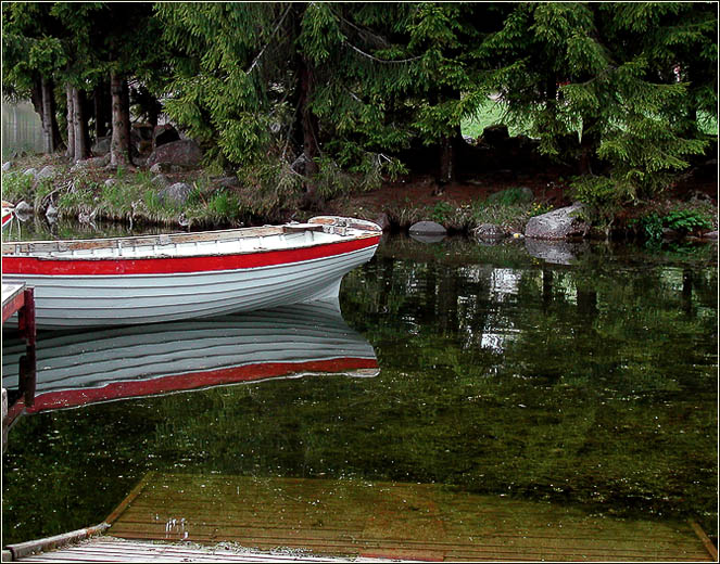 photo "***" tags: landscape, forest, water