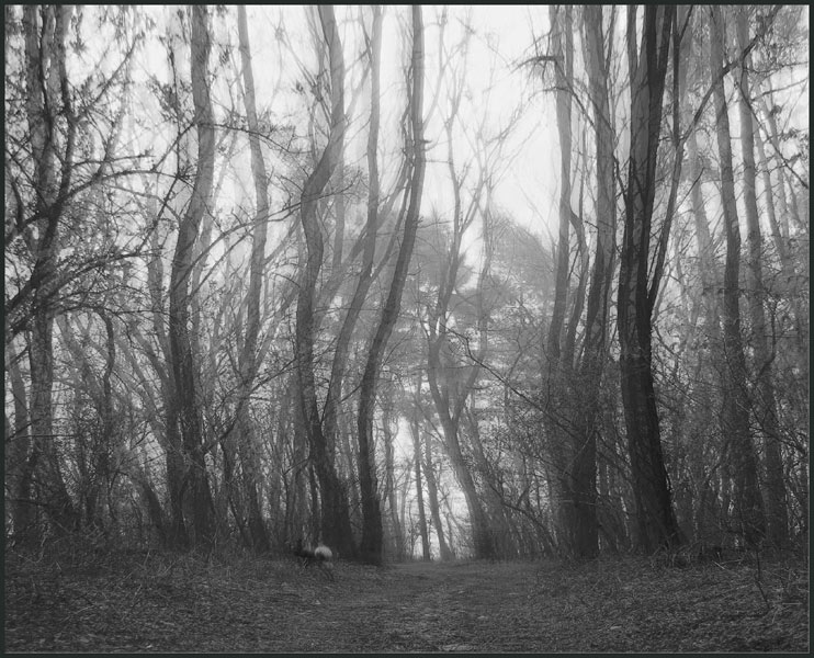photo "***" tags: landscape, black&white, 