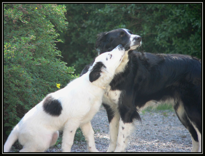 photo "Love" tags: nature, pets/farm animals
