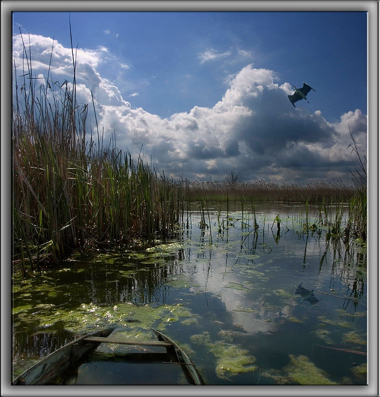 фото "Пейзаж глазами лягушки" метки: пейзаж, вода, облака