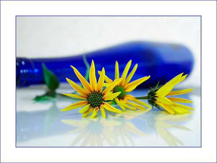 photo "***" tags: still life, 