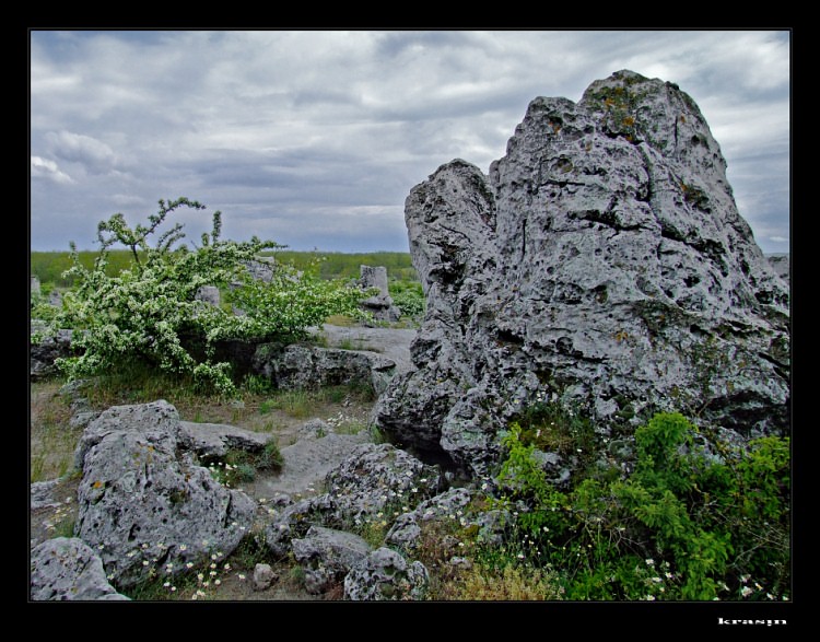 photo "***" tags: landscape, clouds, summer