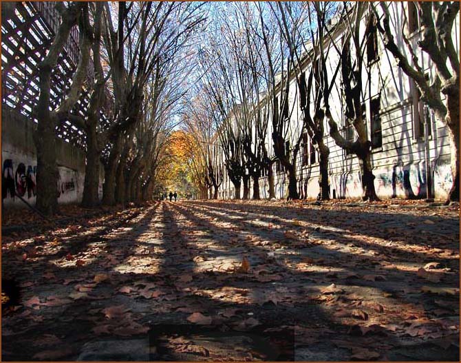 photo "autumn's tunnel.." tags: landscape, architecture, autumn