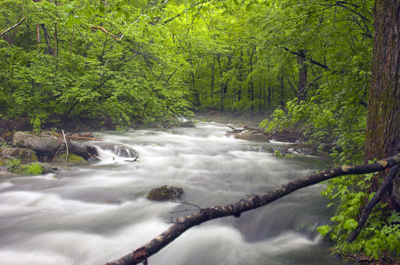 photo "***" tags: landscape, summer, water