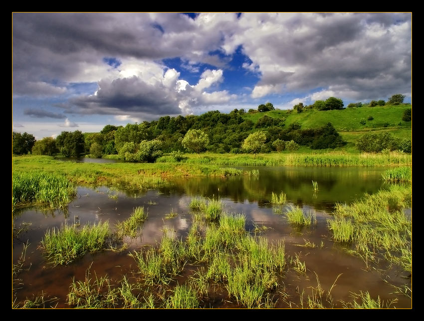 photo "At the river" tags: landscape, summer