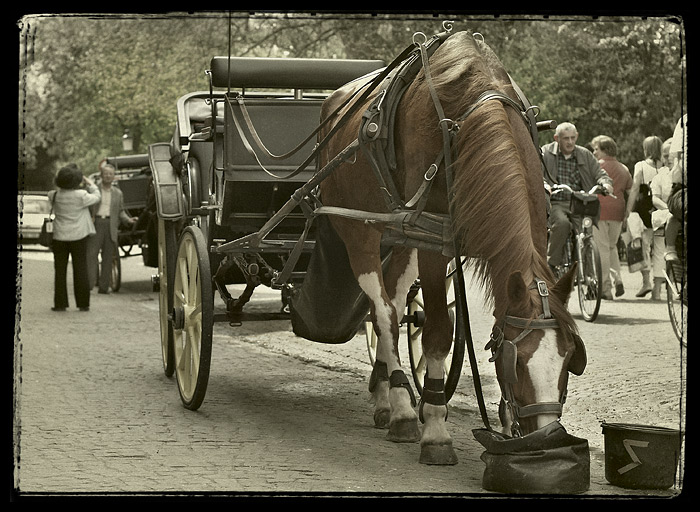 фото "Пока японцы фотографируются, хоть поесть спокойно.." метки: путешествия, жанр, Европа