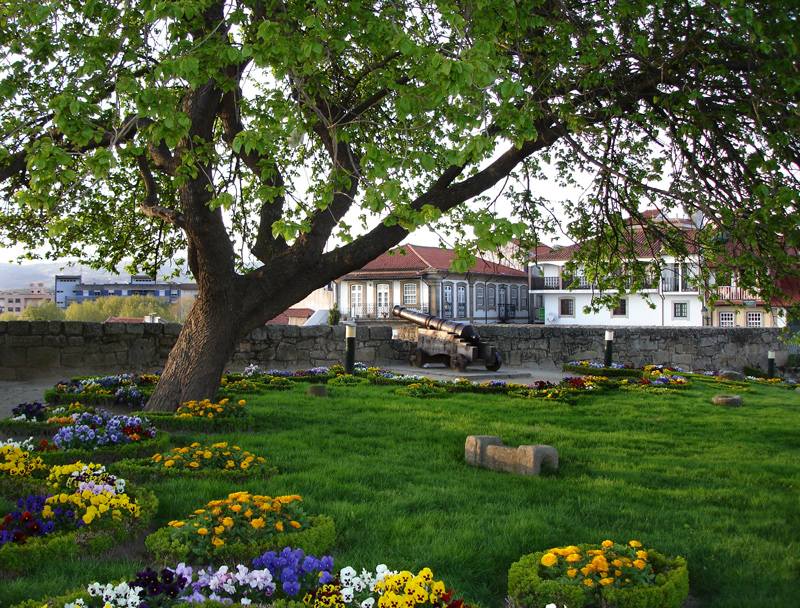 фото "Garden in Chaves" метки: пейзаж, природа, весна, цветы