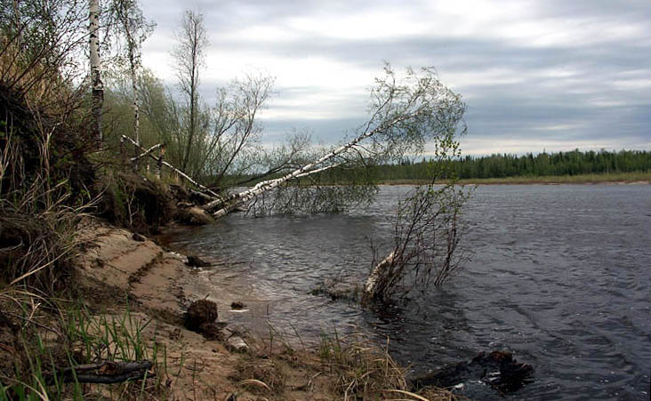 photo "Coast north river" tags: landscape, 