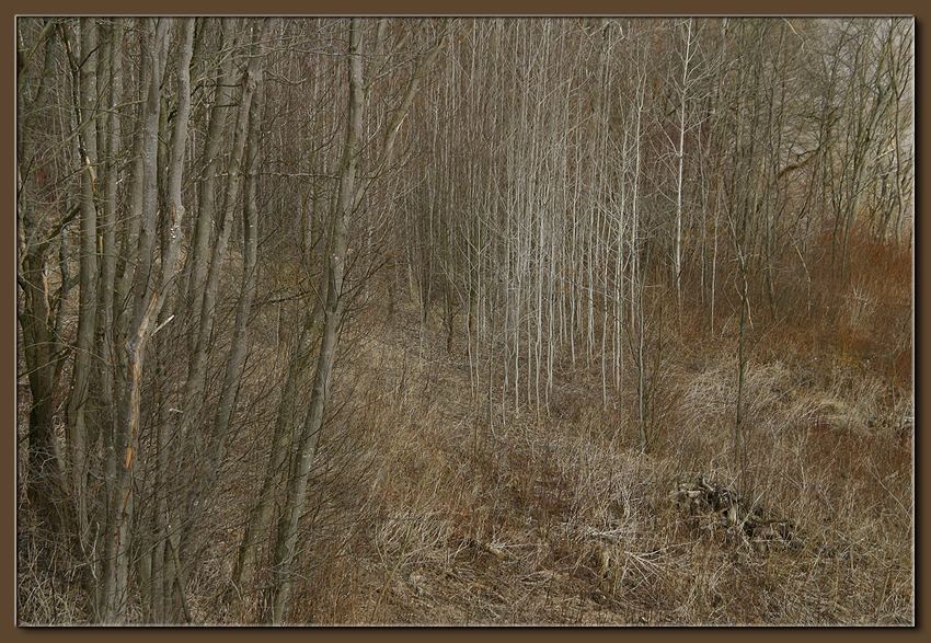 photo "April Palette" tags: landscape, spring