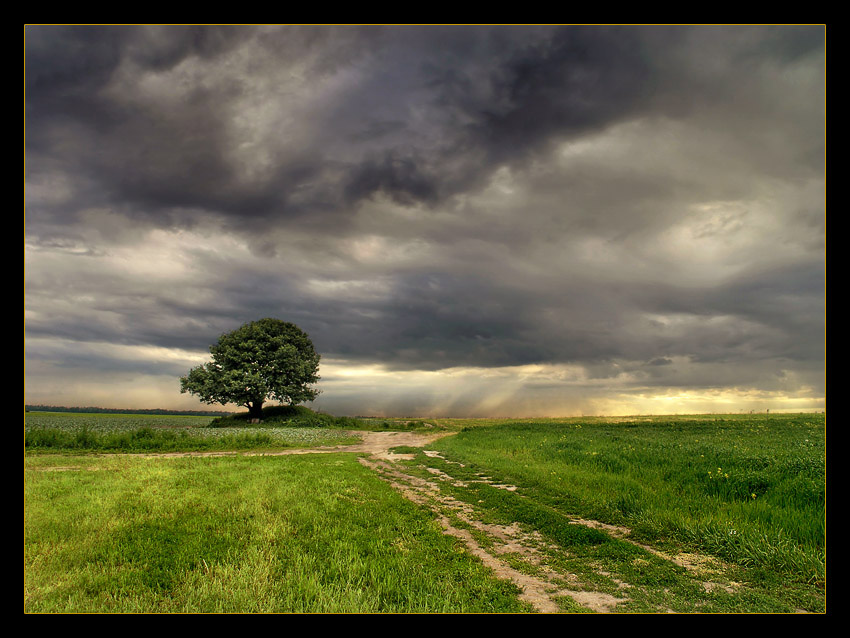 photo "Under heavy sky" tags: landscape, summer