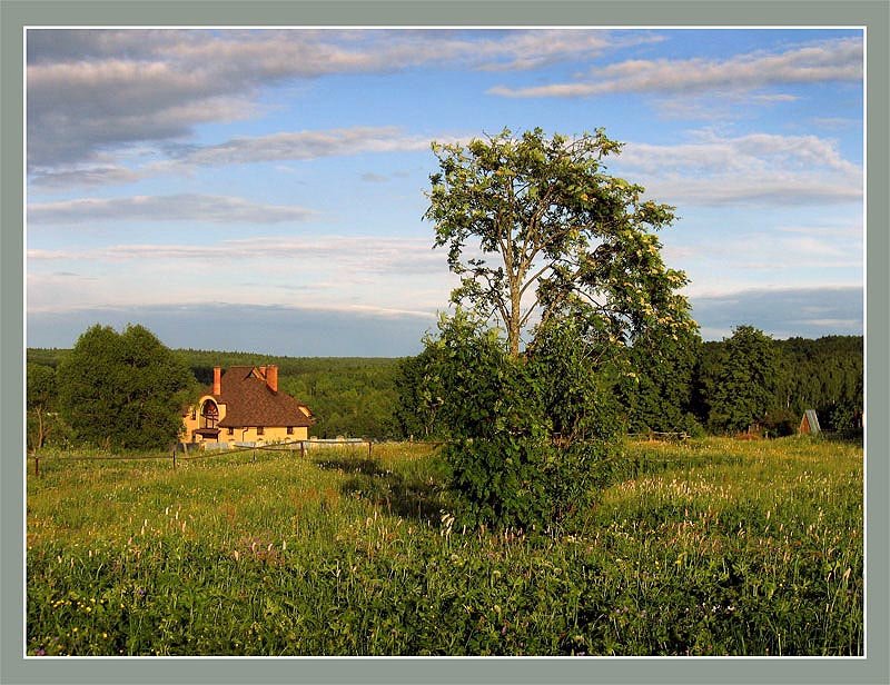 photo "***" tags: landscape, summer, sunset