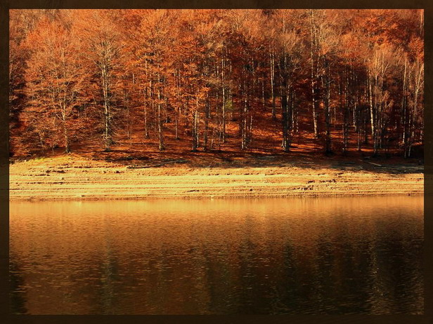 фото "just autumn" метки: пейзаж, осень