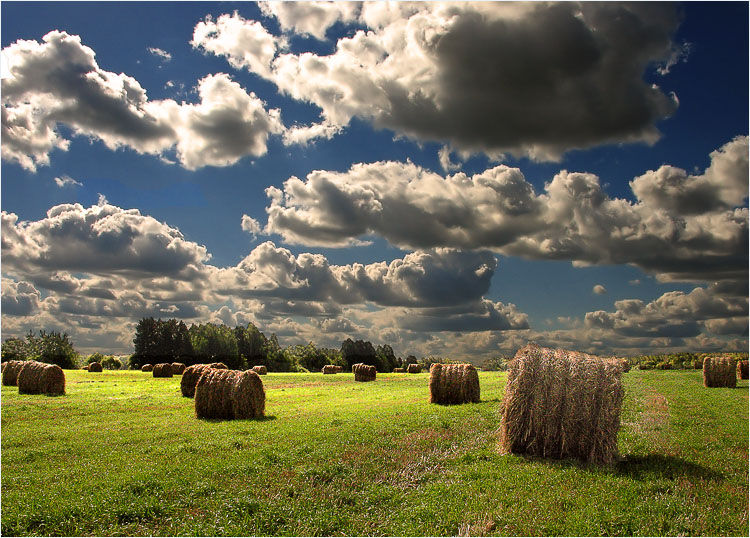 photo "It is a lot of cylinders" tags: landscape, autumn