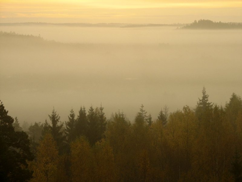 фото "Misty morning (at the side of the swamp)" метки: пейзаж, закат, осень